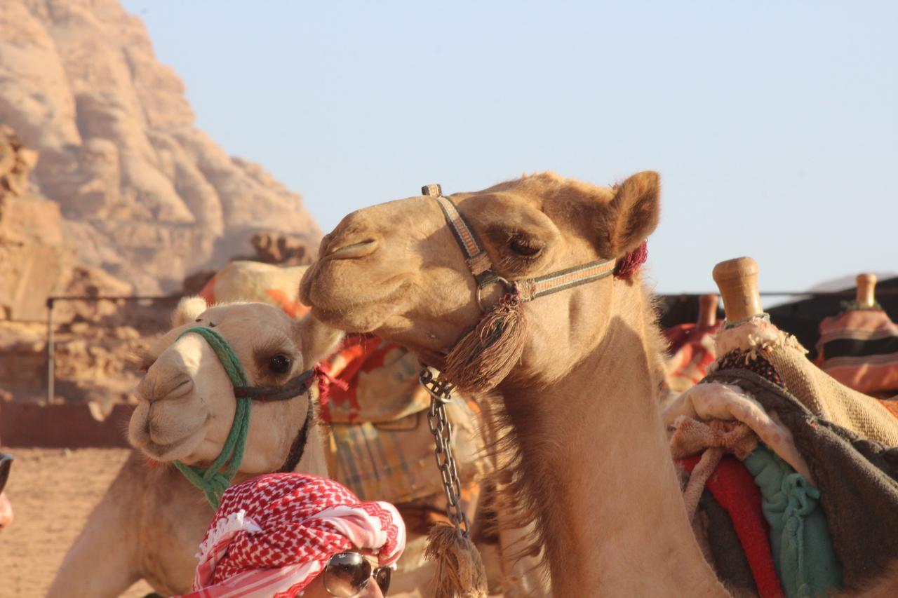 Jamal Rum Camp Hotel Wadi Rum Exterior photo